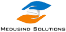 Medusind Solutions India Pvt. Ltd.